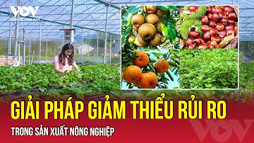 Tăng cường tiếp nhận thông tin - giảm thiểu rủi ro trong nông nghiệp | VOV