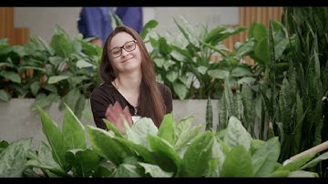 ascom d63 tanıtım videosu