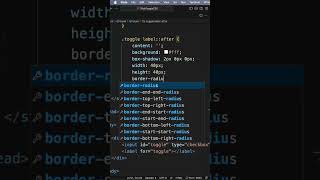 Animated slide toggle switch with CSS