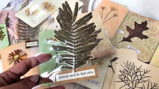 What to do with Pressed Flowers! - The Graphics Fairy