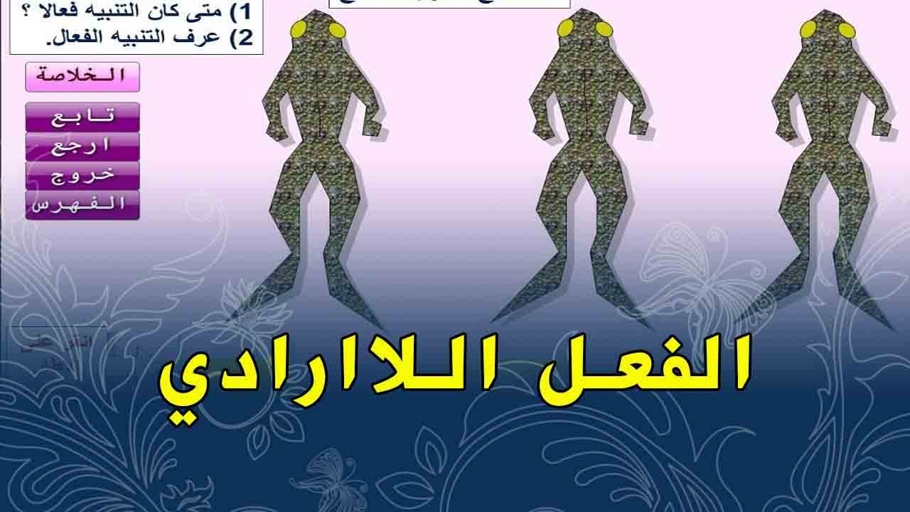 الدرس 16:علوم طبيعية الرابعة متوسط الاعضاء الفاعلة في الفعل اللاارادي عوشت للعلوم