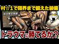 伝説の乱入ティガを、村☆1で集められる素材だけで返り討ちたい【MHP2G】