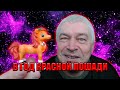 В ГОД КРАСНОЙ ЛОШАДИ | ПЕСНЯ ПРО ГОРИНА