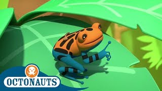 Octonauts  A Very Dangerous Frog | Triple Special | Cartoons for Kids