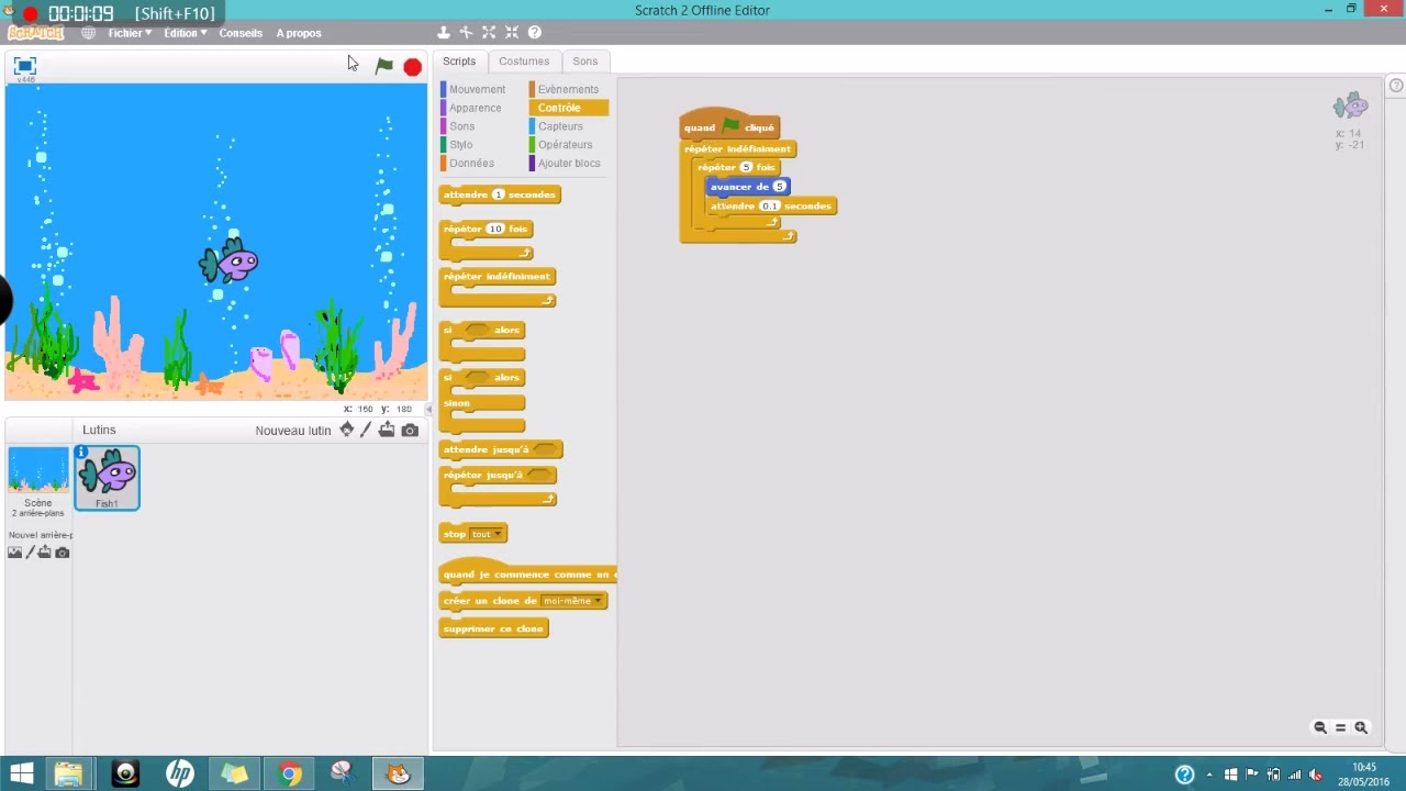 201c   SCRATCH bonus TP 201c   Aquarium
