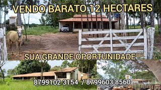 VENDO ESSE MUITO BARATO PRA VENDER RAPIDINHO SUA GRANDE OPORTUNIDADE 8799102 3154  / 8799603 8560