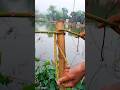 Learn How to Tie a Constrictor Knot Fast!