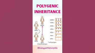 Polygenic Inheritance: The Power of Many Genes! #human #educationalvideo #biology #polygenic