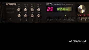 Demo :: Ensoniq DP4 Reverbs on SH101 (Aphex Riff)