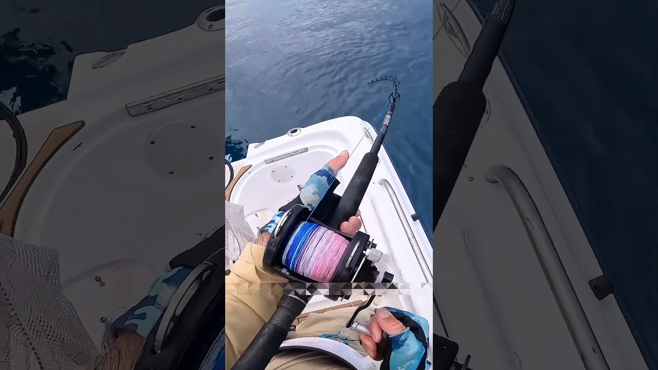 इतने छोटे केकड़े से पकड़ी 10 किलो की विशाल मछली! 😱 #shorts #fishing