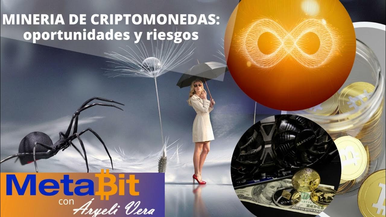 Tragamonedas que ofrecen oportunidades de ganar cada día