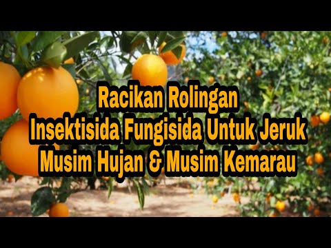 Video: Perlindungan Musim Dingin Pohon Buah - Tips Untuk Mengubur Pohon Buah Di Musim Dingin