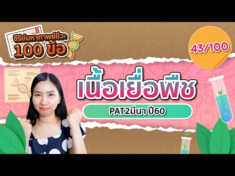 ติวฟรี ชีวะ 43/100 : พืช-เนื้อเยื่อพืช เฉลยข้อสอบPAT2 มีนา60 ข้อ4 : ชีวะครูฝ้าย