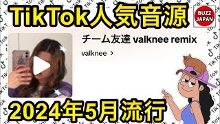 【TikTok】2024🇯🇵バズった音源【チーム友達 valknee remix】