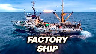 Largest Fish Factory Vessel. Episode 2 | Documentary | Science Channel