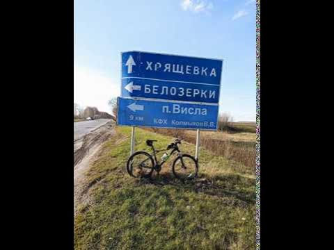Висла тольятти фото