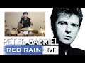 Peter Gabriel - Red Rain | Drum Cover