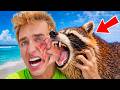 I Was BIT By Wild Raccoon!