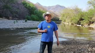 Corrido de Alejandro Pérez ( Desde el Río de Carácuaro ) Juan Benito Pérez