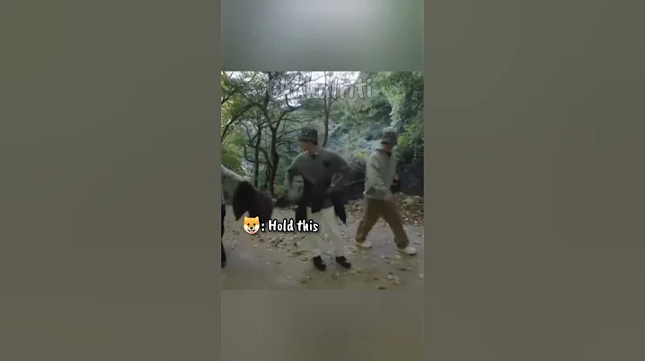 Mingyu regret his decision after going for walk on mountain with Scoups,Wonwoo 😂🤣#svtedit #seventeen