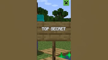 NEW BLOCK IN MINECRAFT?!