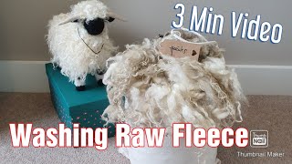 Washing a Raw Wool Fleece  Quick Guide  3 Minute Video