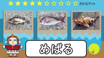 魚クイズ Mp3