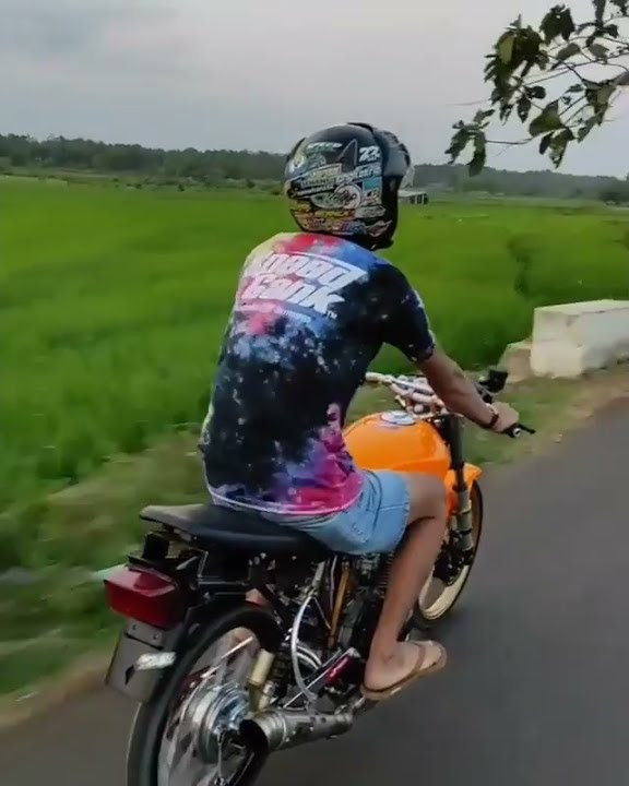 STORY WA MP TRONDOL