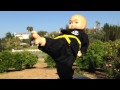 Kung Fu Baby