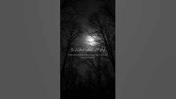 تلاوه هادئه ارح سمعك 🎧🌹❤️| ياسر الدوسري