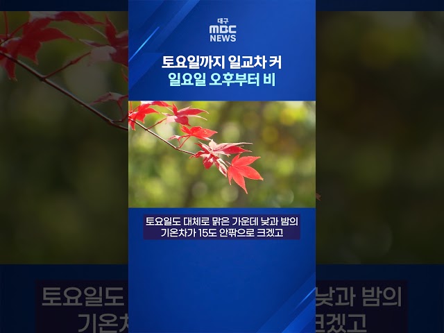 토요일까지 일교차 커···일요일 오후부터 비 #shorts (대구MBC)