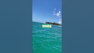 Thumbnail of BONITAS AGUAS DE LA ISLA DEL ENCANTO PUERTO RICO 🇵🇷