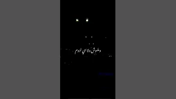 ليه يا حبيبي من يوم ما قابلتك وانت في كوم والدنيا في كوم استوری Funny الجسمي 