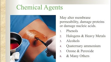 Control of Microbial Growth