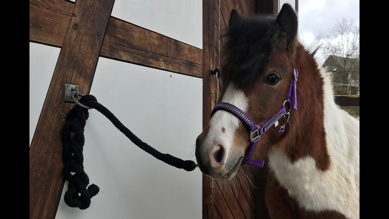 Kids Corner: Sicheres Anbinden mit Vivi