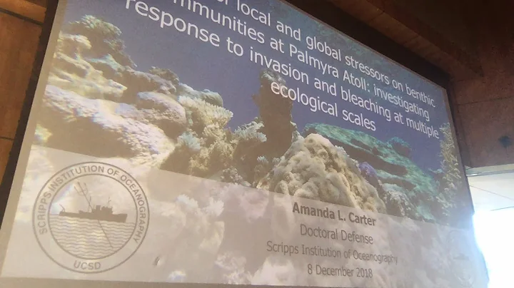 Amanda's PhD Defense