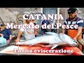 Mercato del Pesce (Catania) -  Tonno eviscerazione