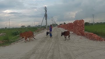 Bashundhara  P-BLOCK  3 KATHA PLOT SALE । পি ব্লকে তিন কাঠার প্লট বিক্রি হবে বসুন্ধরা । 01820005800