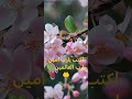 توكلت على الله الحي القيوم توكلت على الله رب العرش العظيم توكلت على الله الحي القيوم توكلت على الله رب العرش العظيم
