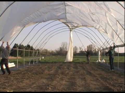 Dr. Eric Hanson of Michigan State University's Department of Horticulture narrates this video which shows the construction of multi-bay high-tunnel hoophouses from Haygrove Tunnels Ltd. at MSU's Student Organic Farm. The initiative will study the impact that these tunnels may have on raspberries and fruit trees in Michigan. Video by Newslink Associates.