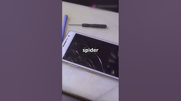 Fix Your Cracked Phone Screen with Toothpaste! #LifeHack