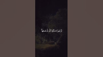 سورة الجاثية ، القارئ محمد اللحيدان 😌🤍