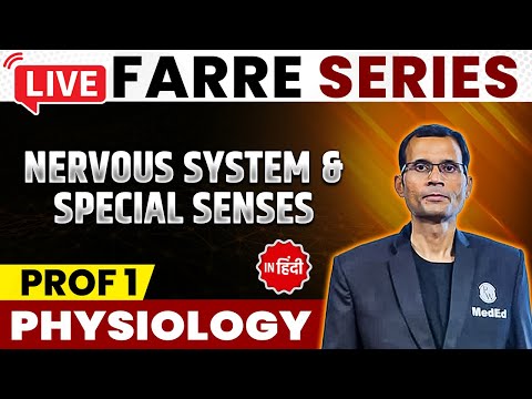 Nervous System And Special Senses - Physiology 