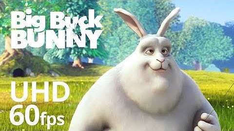 Big Buck Bunny 60fps 4k official Blender foundation Short film