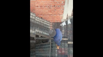 cách đóng cầu thang chiếu nghỉ lệch và bố trí thép cầu thang hai lớp