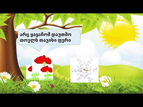 თოვლი და ენძელა