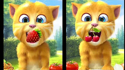 Video 11017801: talking ginger funny cat, talking ginger game