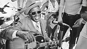 Lightnin Hopkins Mr Charlie Live