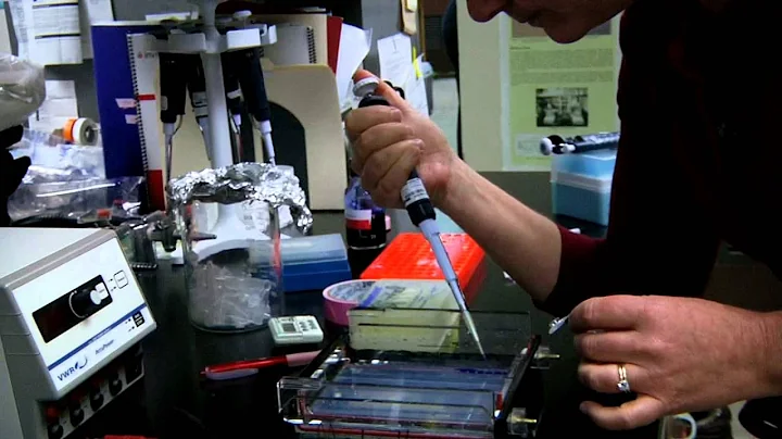 Water Docs: Dr. Sandra McLellan