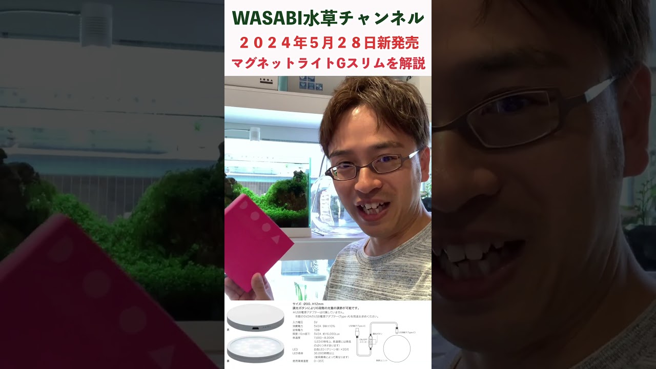 2024年5月28日新発売！DOOAマグネットライトGスリムを解説